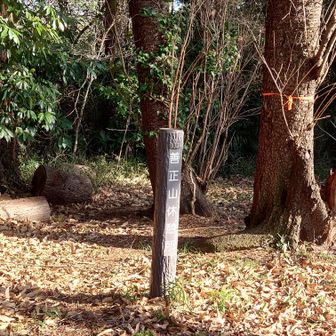 休憩所となっていますが、ここが山頂と思われます。