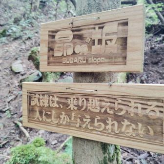 ガレ場の沢沿い登って終盤にこんな事言われても今は見上げる稜線に行く事しか考えられない

昴坂？ 私の頭の中は硝子坂🎶