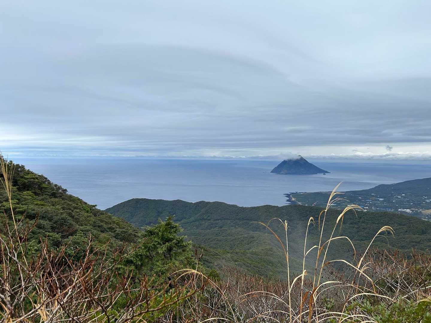 防衛道路登山口〜樫立登山口｜三原山縦走コースの写真