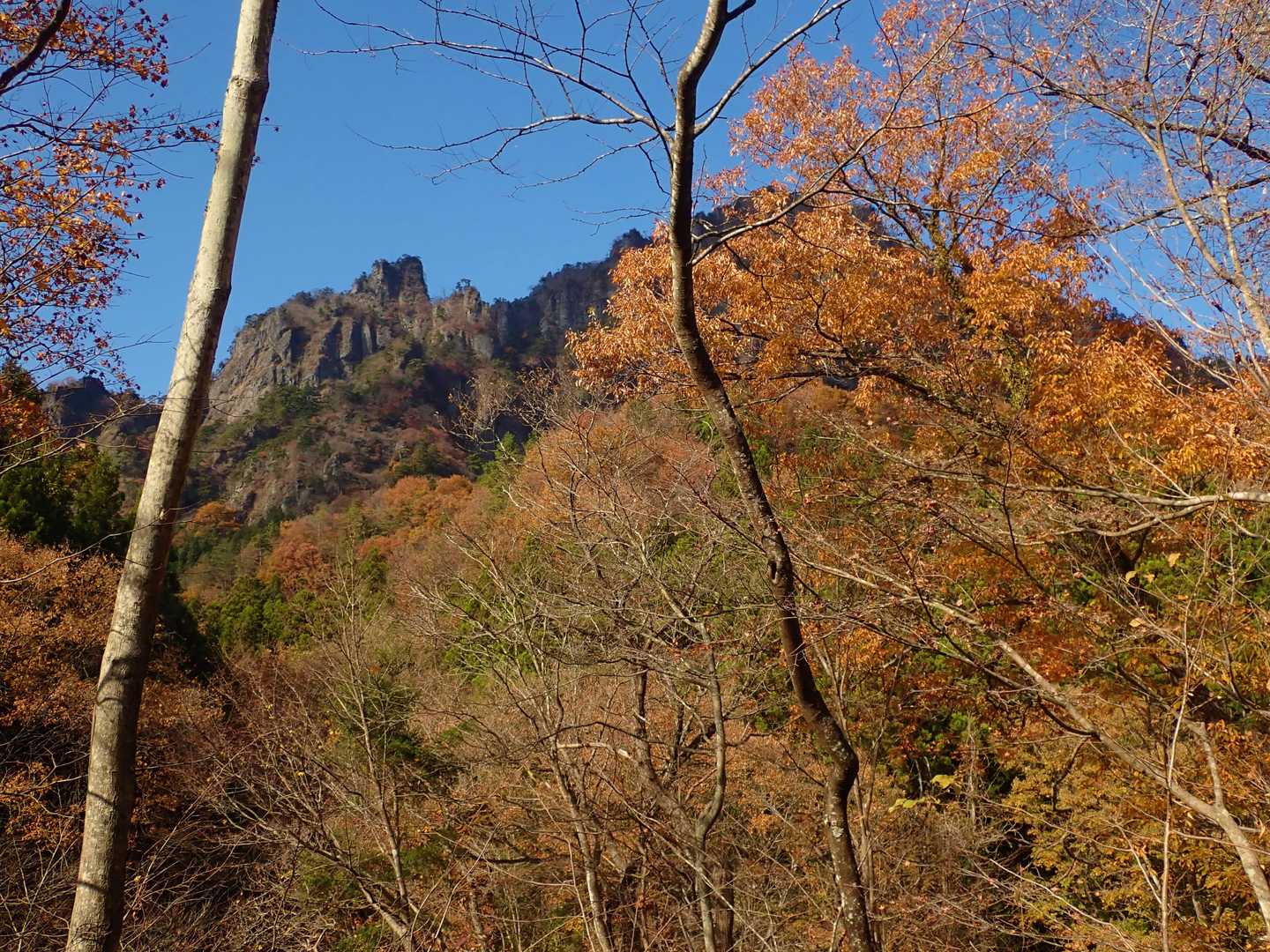 清々しい風景！