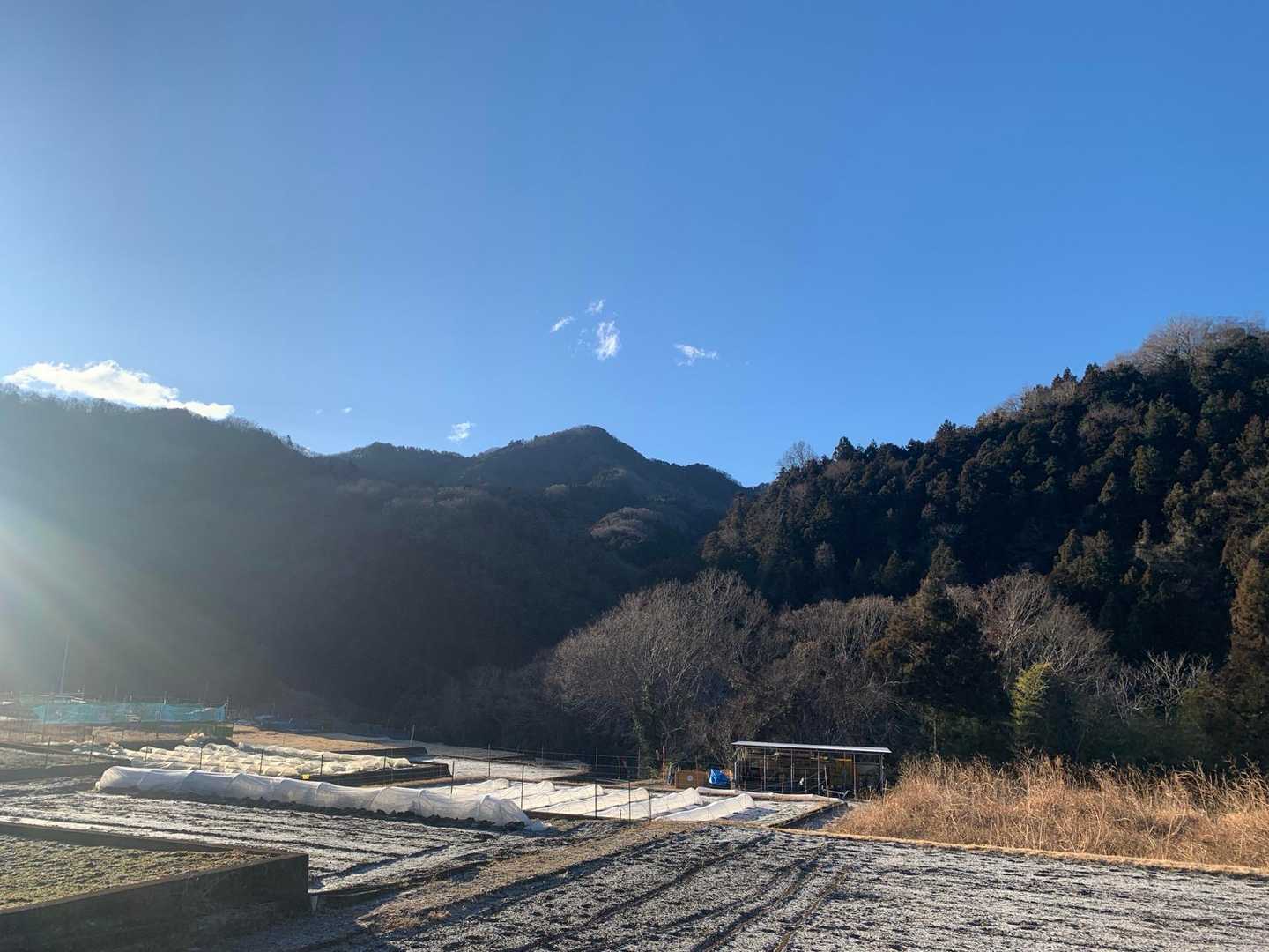 とりあえず天気に恵まれた☀️