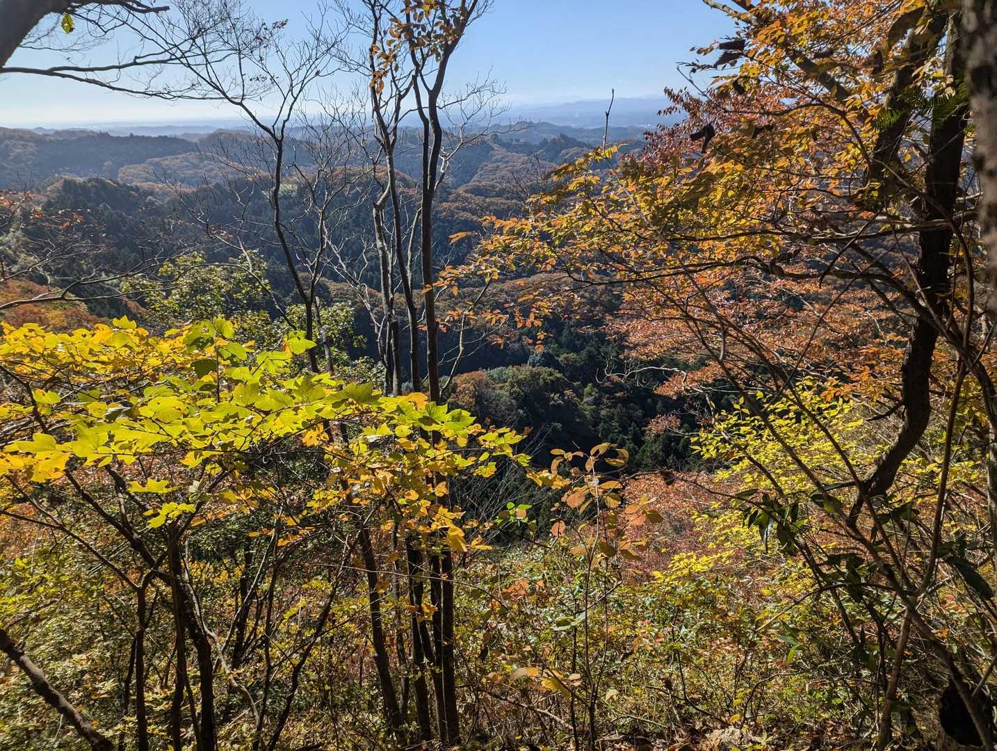 おかめ山西峰-荷鞍山-地蔵 往復コースの写真