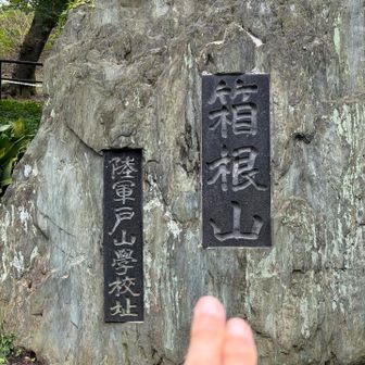 箱根山タッチ👆