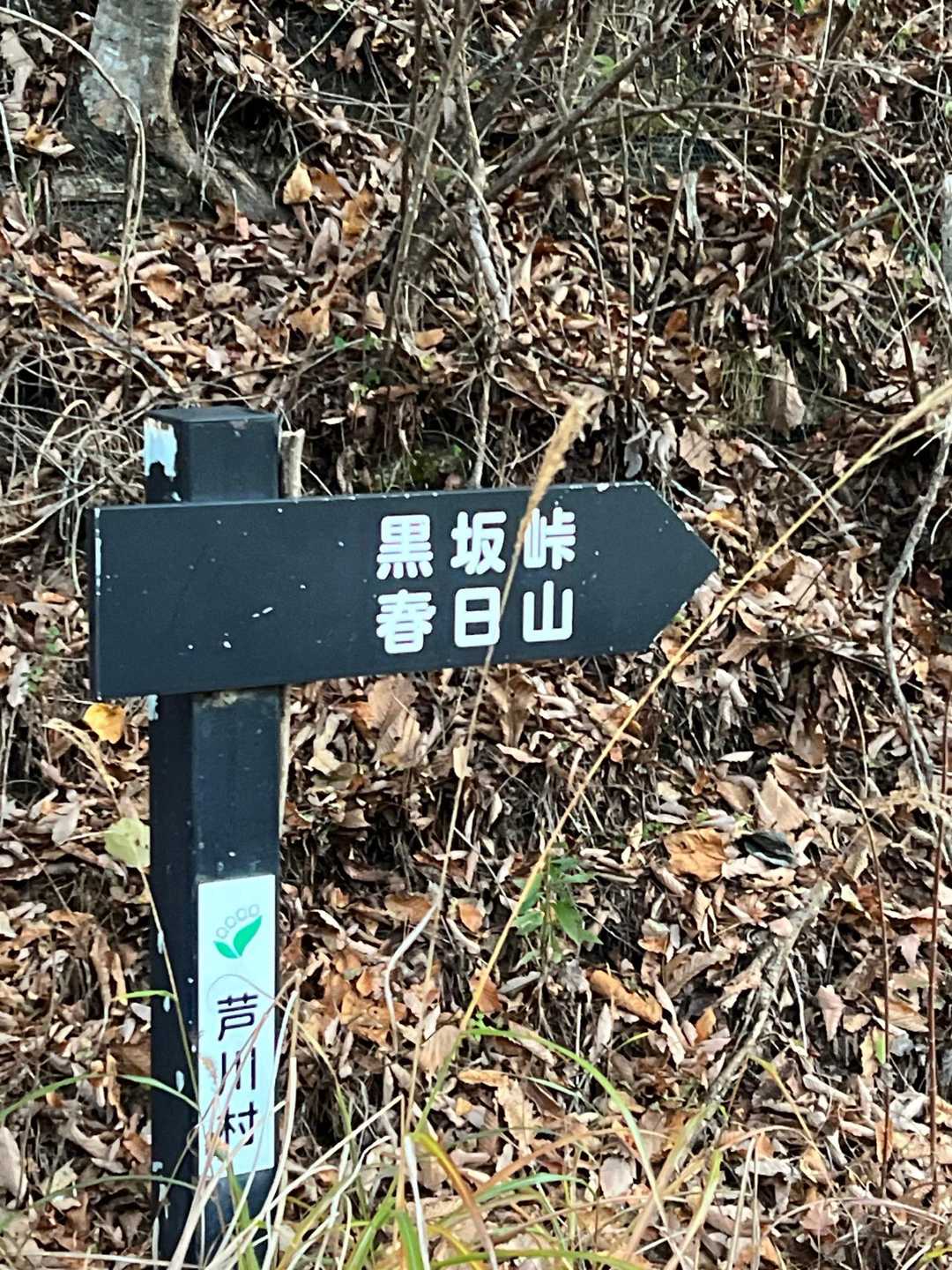 滝戸山登山口-滝戸山 往復コースの写真