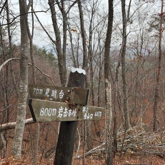 最初の見晴し台は70