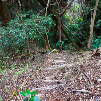 土管の上に立ったとき、誤ってコントローラの下を押してしまい、図らずも地下ステージへと吸い込まれて行ったヒゲの兄弟の如く、そのルートへと吸い込まれて行きましたら…。