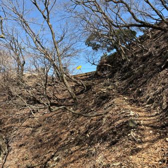 表参道に合流だー

分岐出たとこでちょうどお会いしたご夫婦に政次郎尾根のこと聞かれ、私も初めて来ましたとお話する