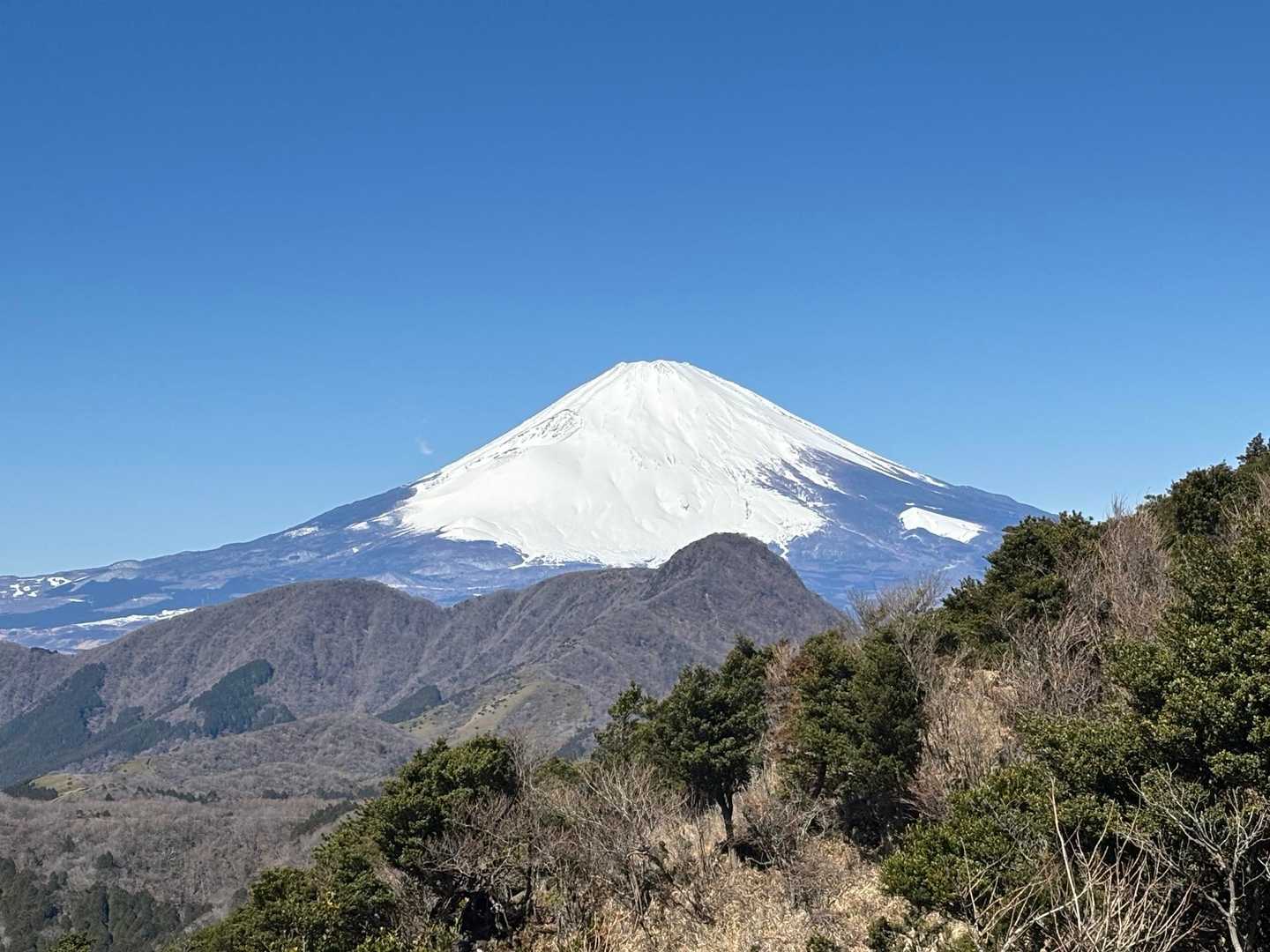 宮城野営業所前バス停-明神ヶ岳 往復コースの写真