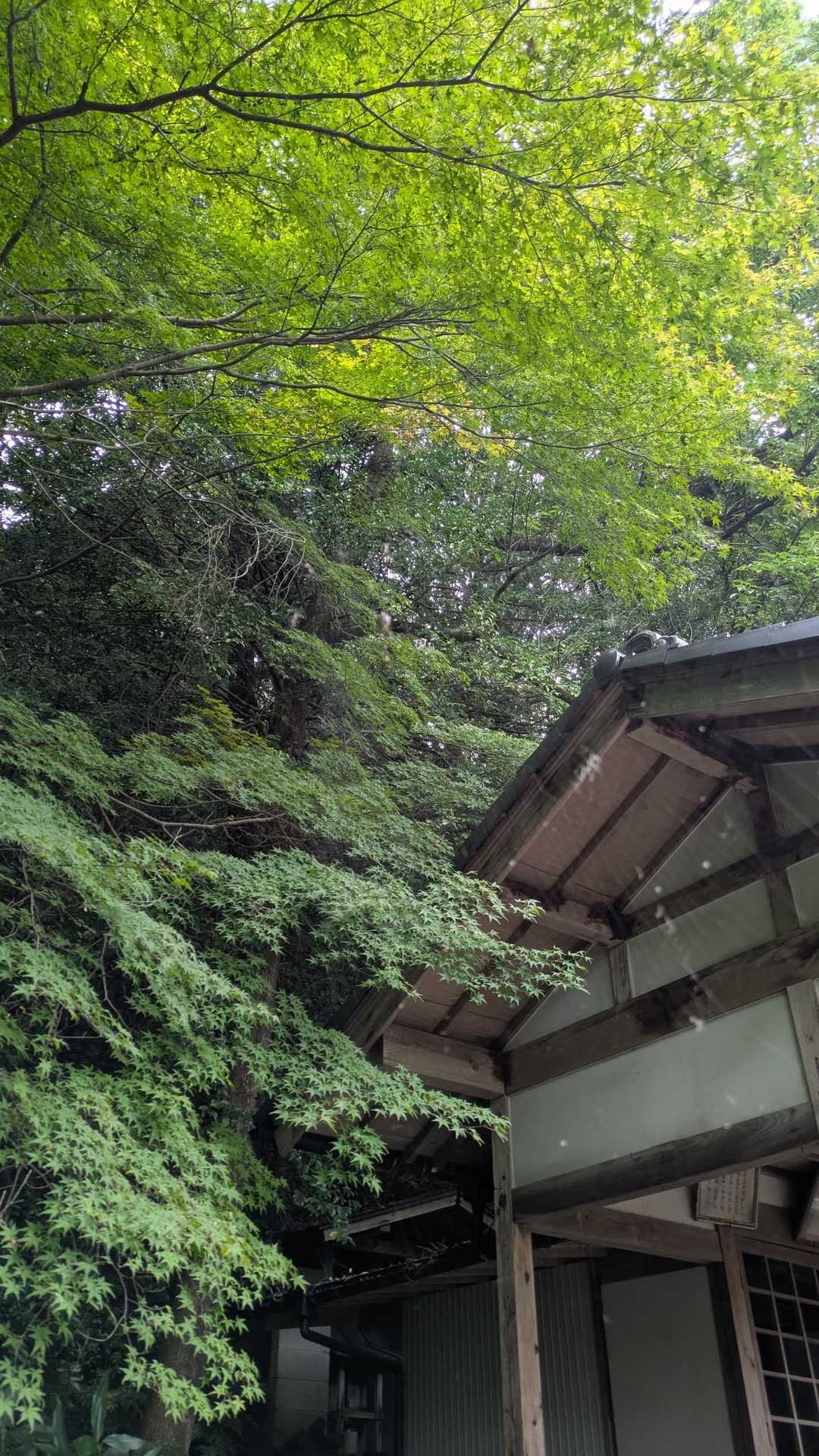 安桜山 周回コースの写真