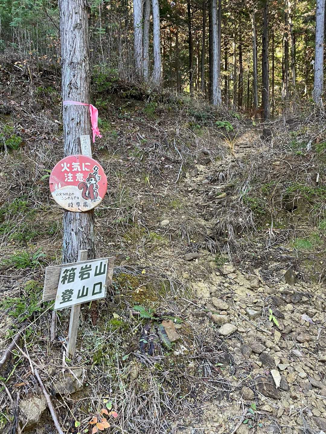 黒川ライスセンターを過ぎ未舗装路（いい道）を暫く進むと登山口