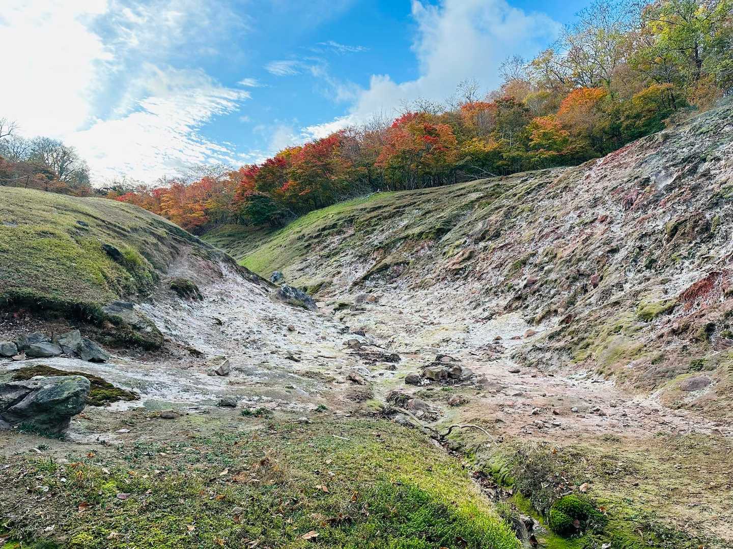 ポンポン山登山口-ポンポン山 往復コースの写真