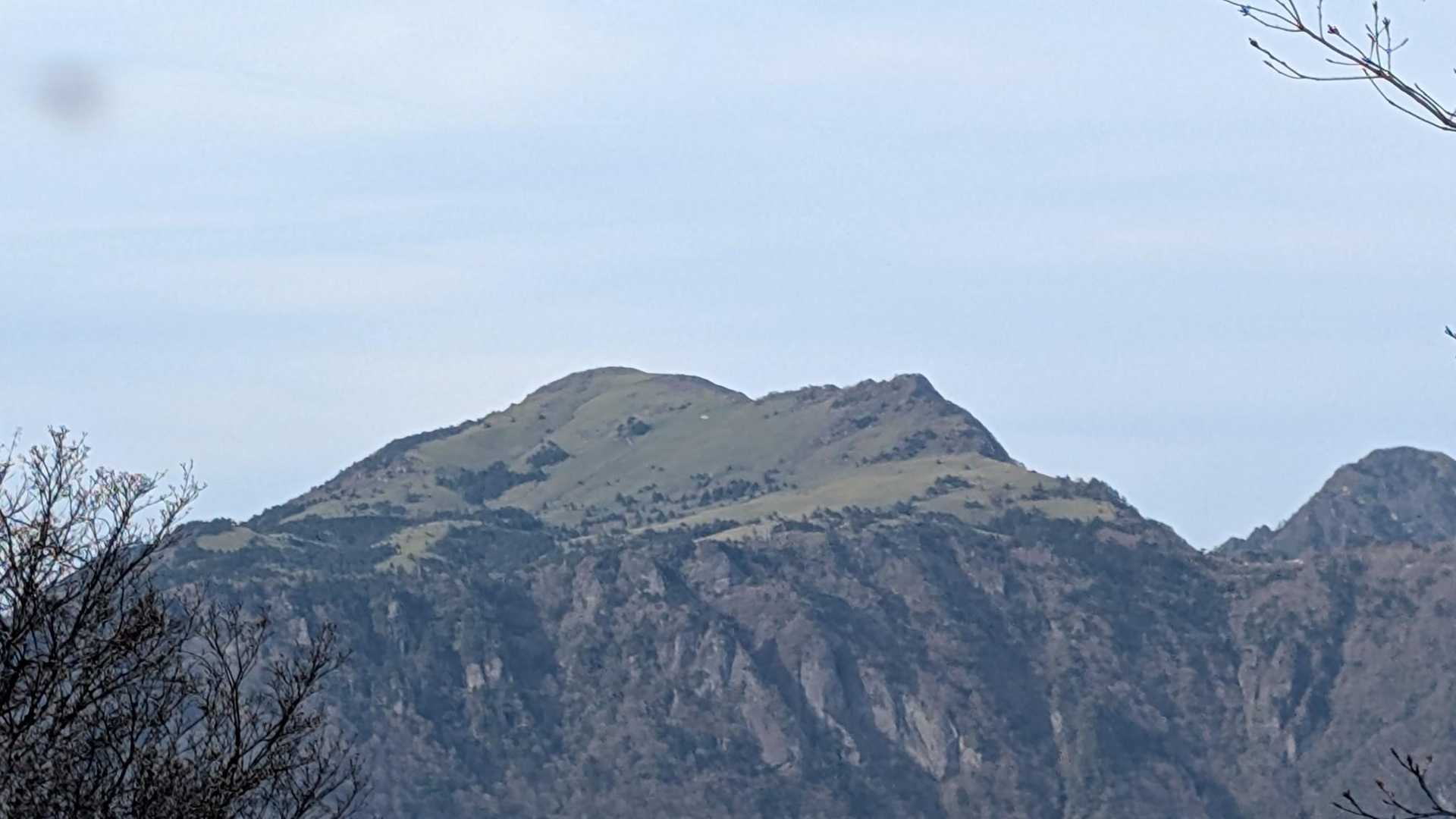 ここから伊予富士が見えます