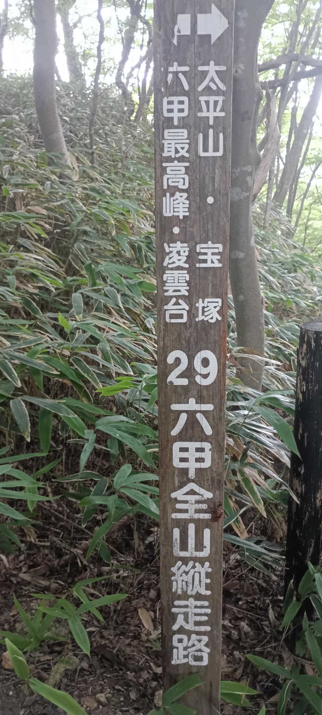 宝塚駅-岩倉山-大谷乗越-船坂峠-水無山-六甲越-六甲山- 縦走コースの写真