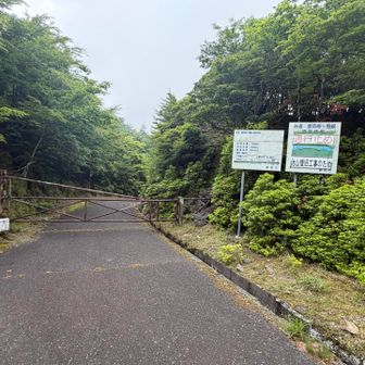 ゲートを過ぎて振り返る。