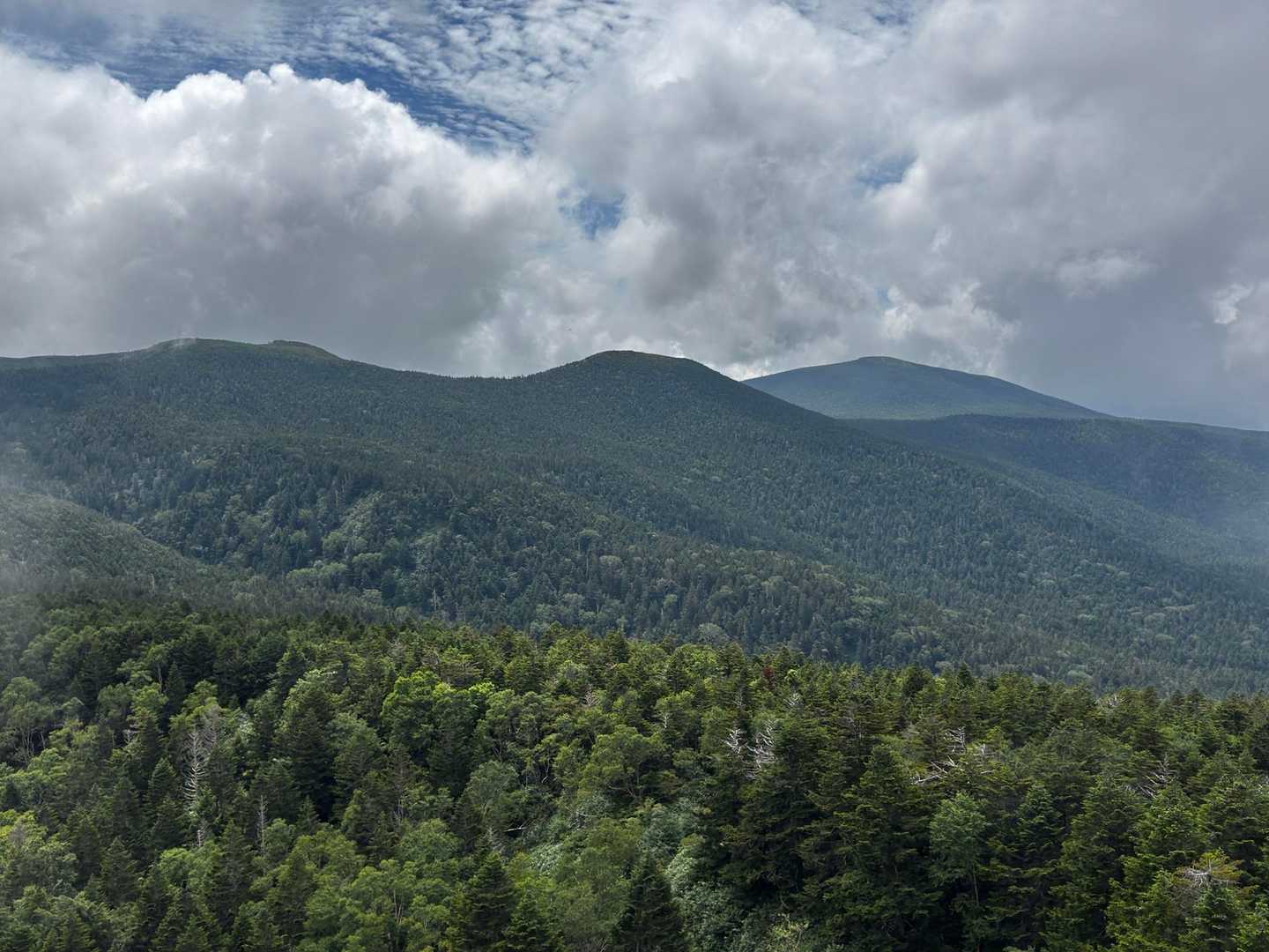 山頂は景色最高でした🙌