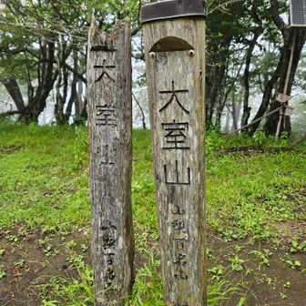 古い　もっと古い

え？
山梨百名山なんですかぁ😲😲