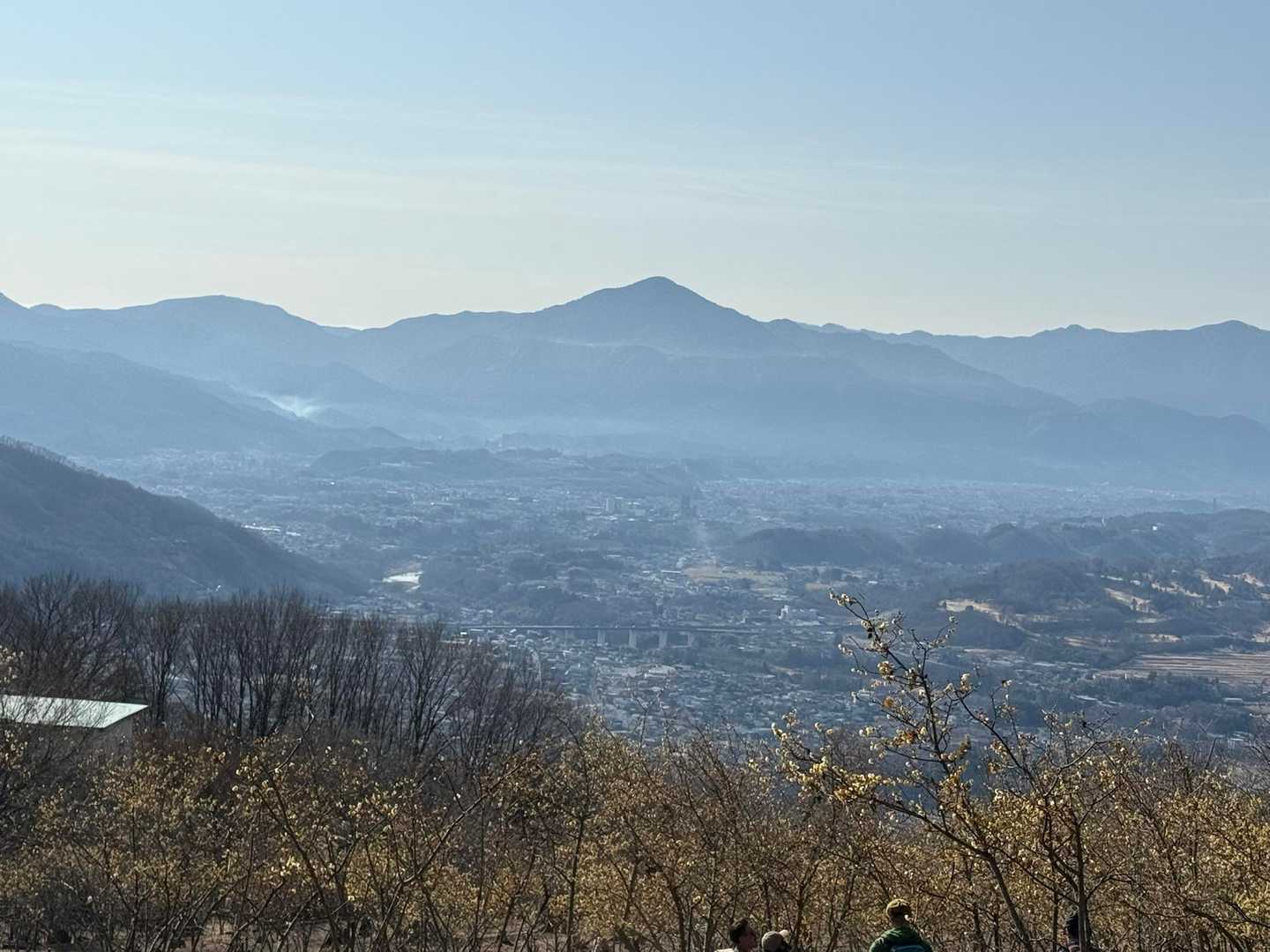 蝋梅と武甲山