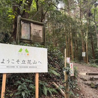 登山口到着
この時点で軽く汗ばんでしまってました