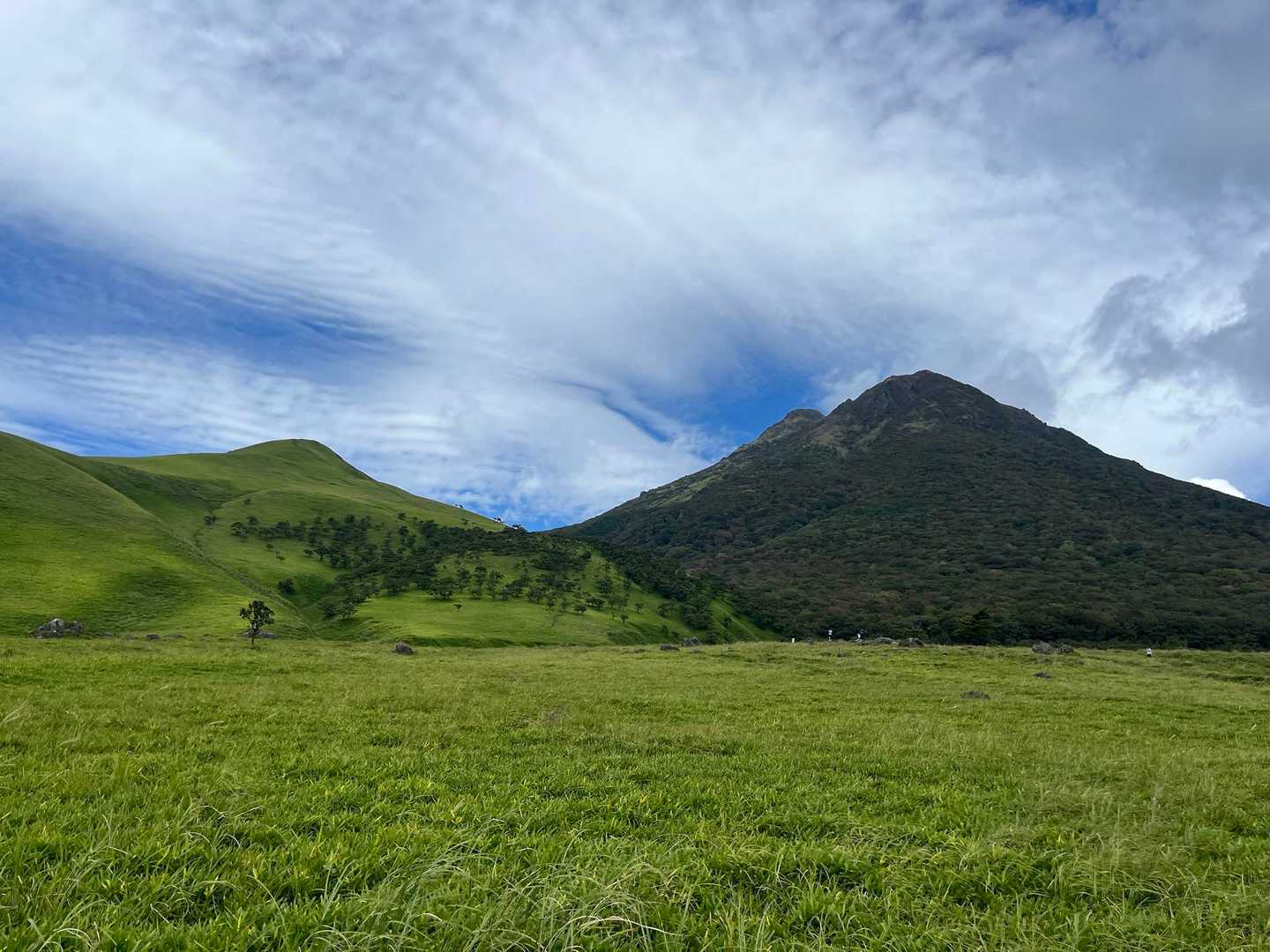 由布登山口バス停-正面登山口-飯盛ヶ城 往復コースの写真