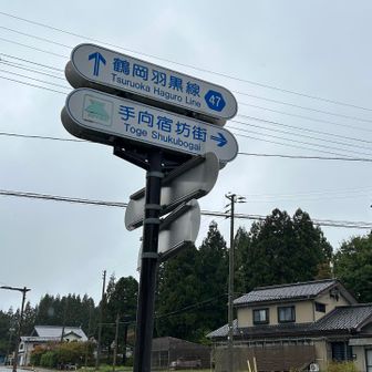 ここには宿坊があるのですネ。興味はありますが、1人ではちょっと怖いかも。。👻