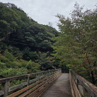 14:30　 無事に下山しました🏁
（無事でもないか😅）