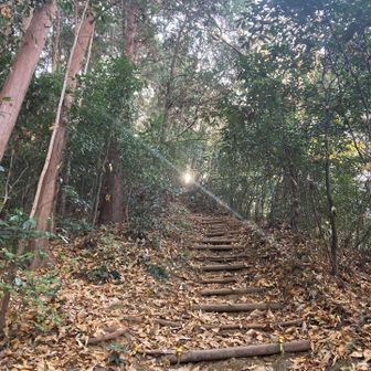 はじめから急な階段を登っていきます