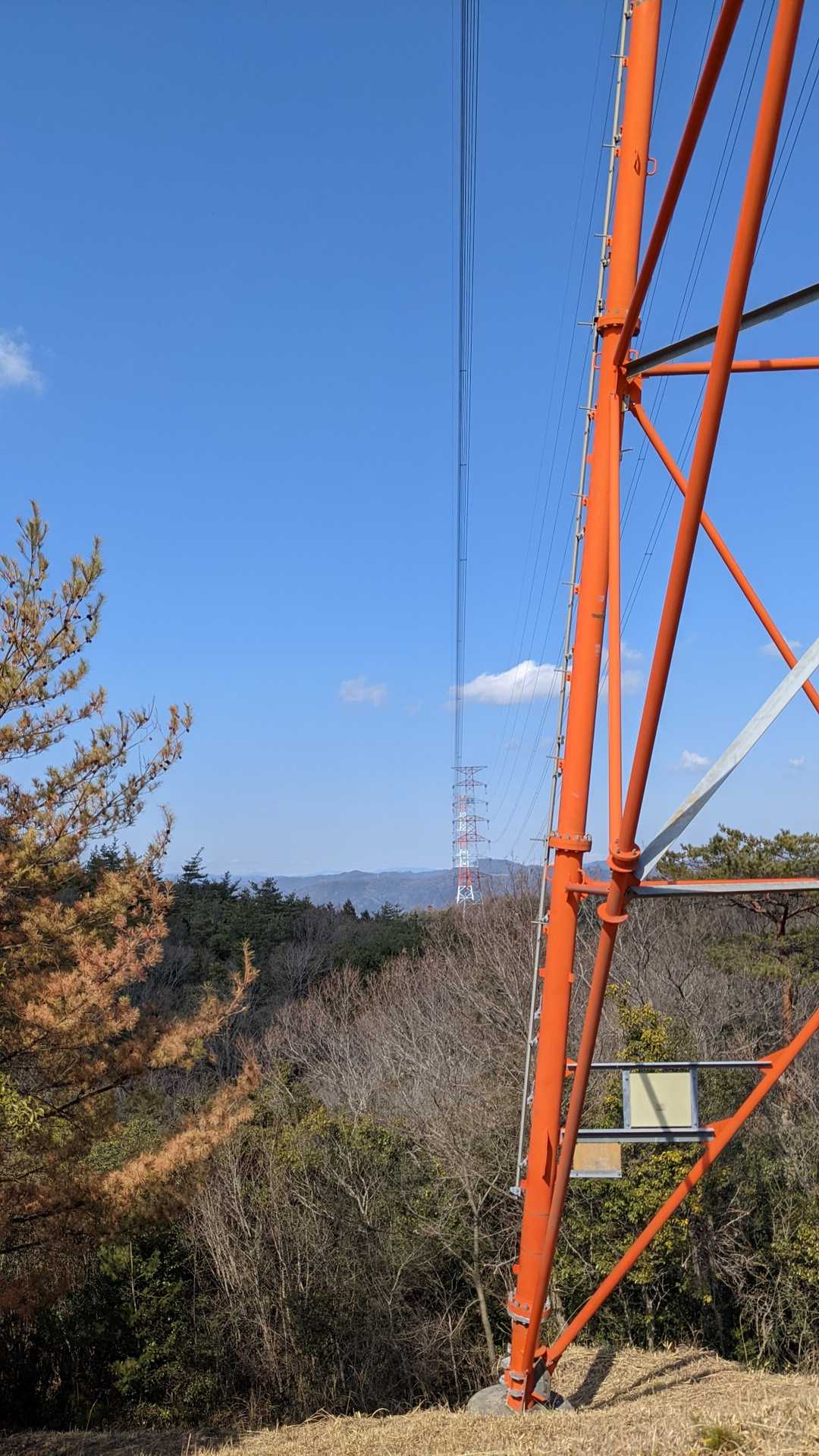 出発が遅かったから
ピストンで帰るよ…💨