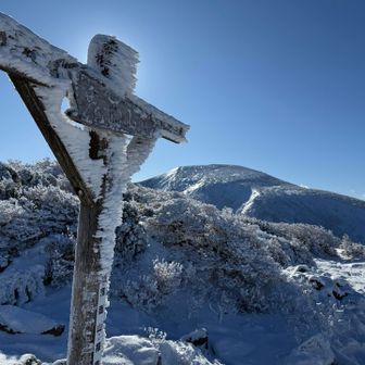 山頂標識。奥には箕輪山。