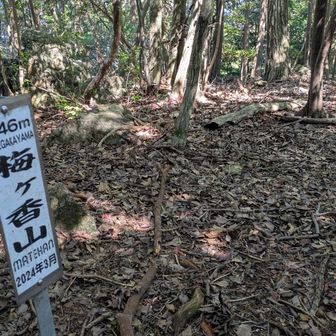地味に立ってた梅ヶ香山の山頂標識
