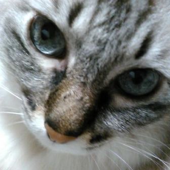 mn(ぼたもち こうたろう)