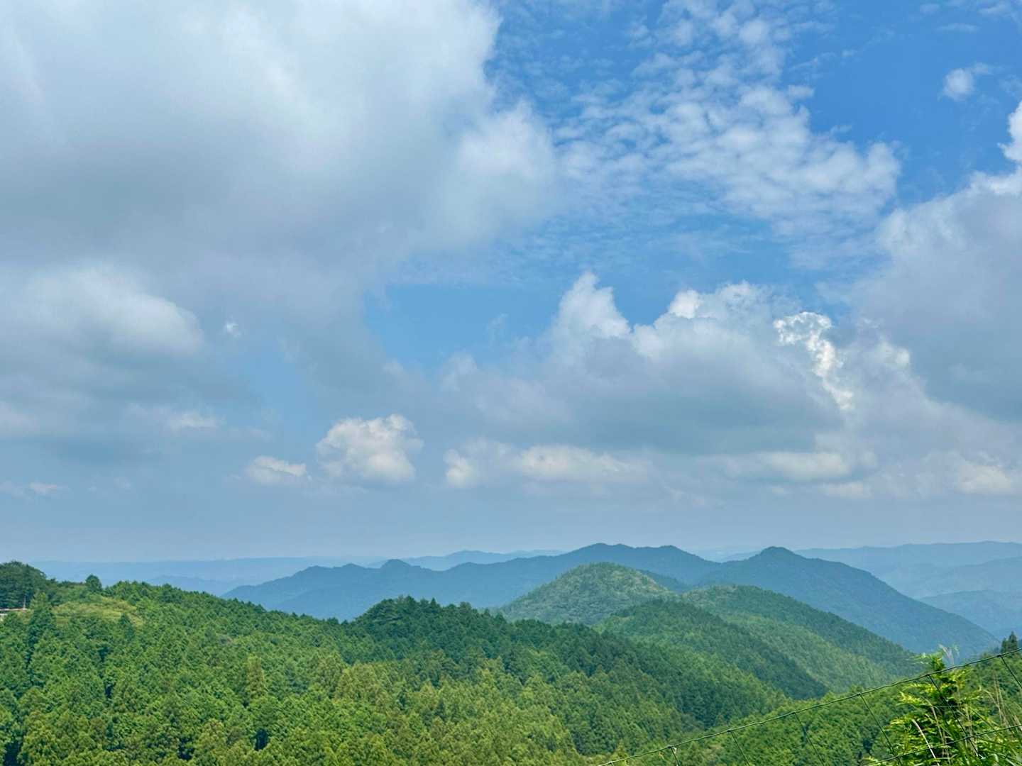 本宮山登山口-砥鹿神社奥宮-本宮山-くらがり渓谷 往復ビンタの写真