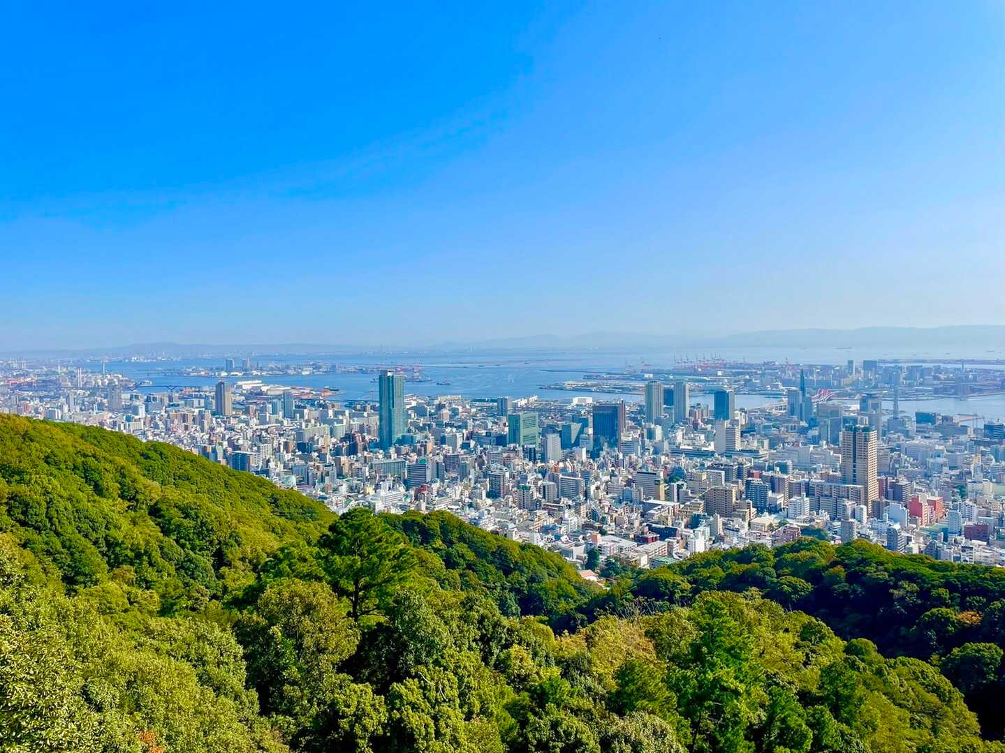 錨山の写真