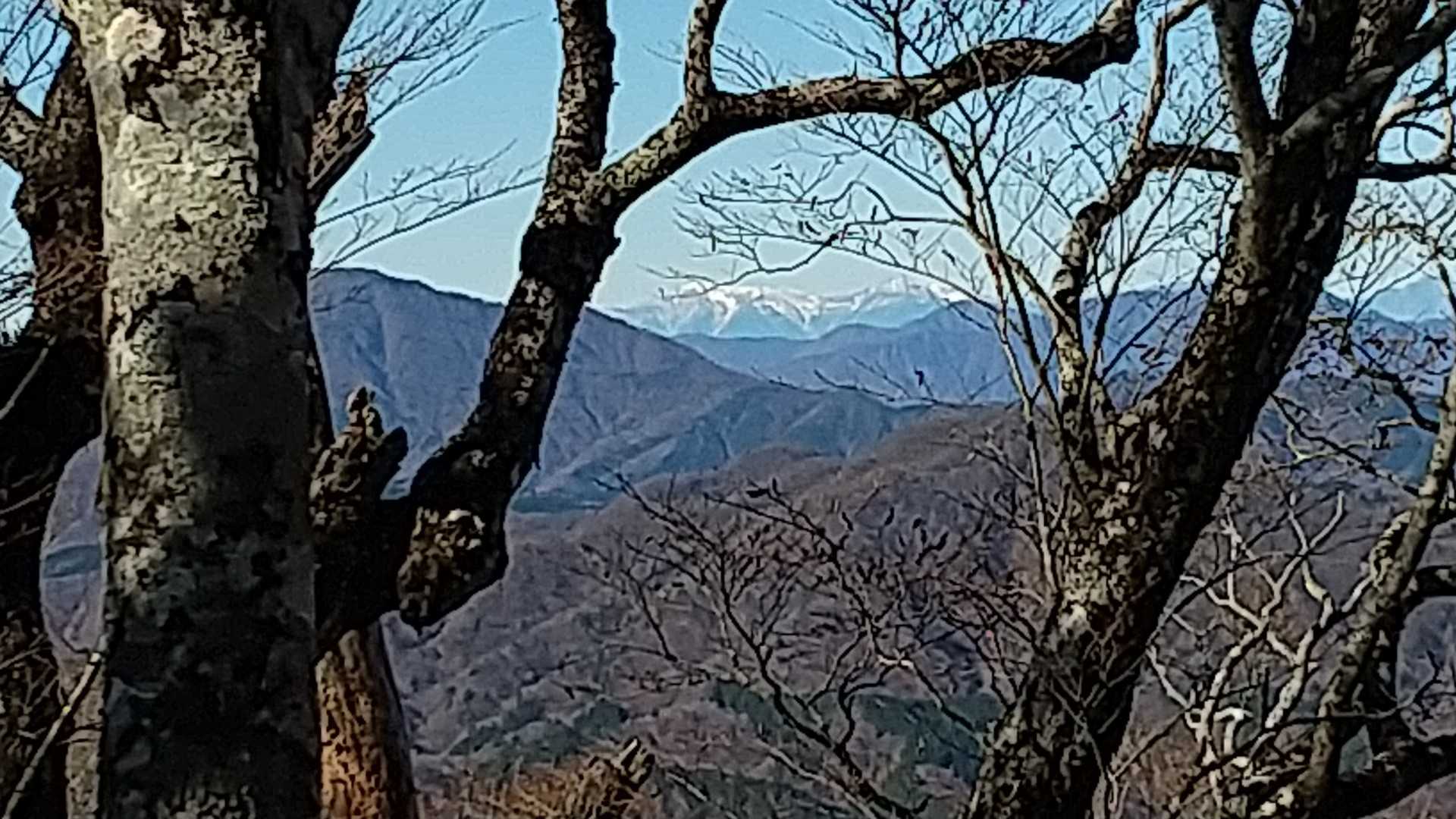 南アルプスが見えた❗️