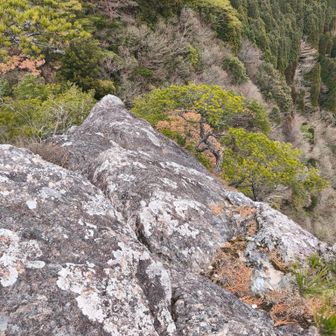 マ〜ジ、ヤバいす