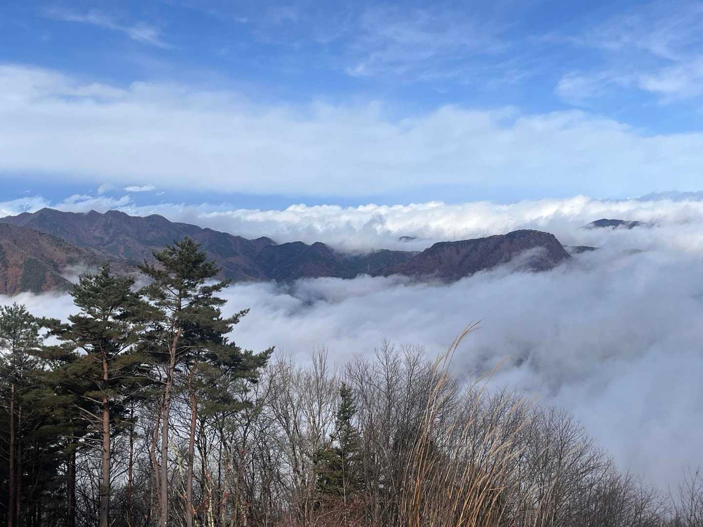 夫神岳 往復コースの写真