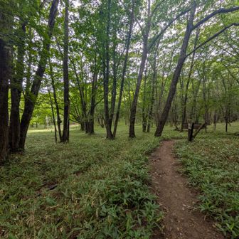 クマを恐れて景色も見ずに急ぎ足だったけど、すごいいい感じのとこだったのね。