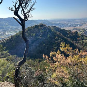 そして、次なる目的地、ピラミッドピーク❗️
遠っ❗️
そして、一旦降りてからの登り返し＆ピストンでここまで戻ってくるよ❗️くるよ❗️くるよ❗️
　　　　　　　　　　　　　※やまびこ風📣