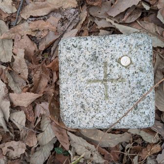 三角点あった〜