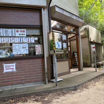 さくら茶屋でかき氷食べようと思ったけど、まだ早いと思い我慢した。