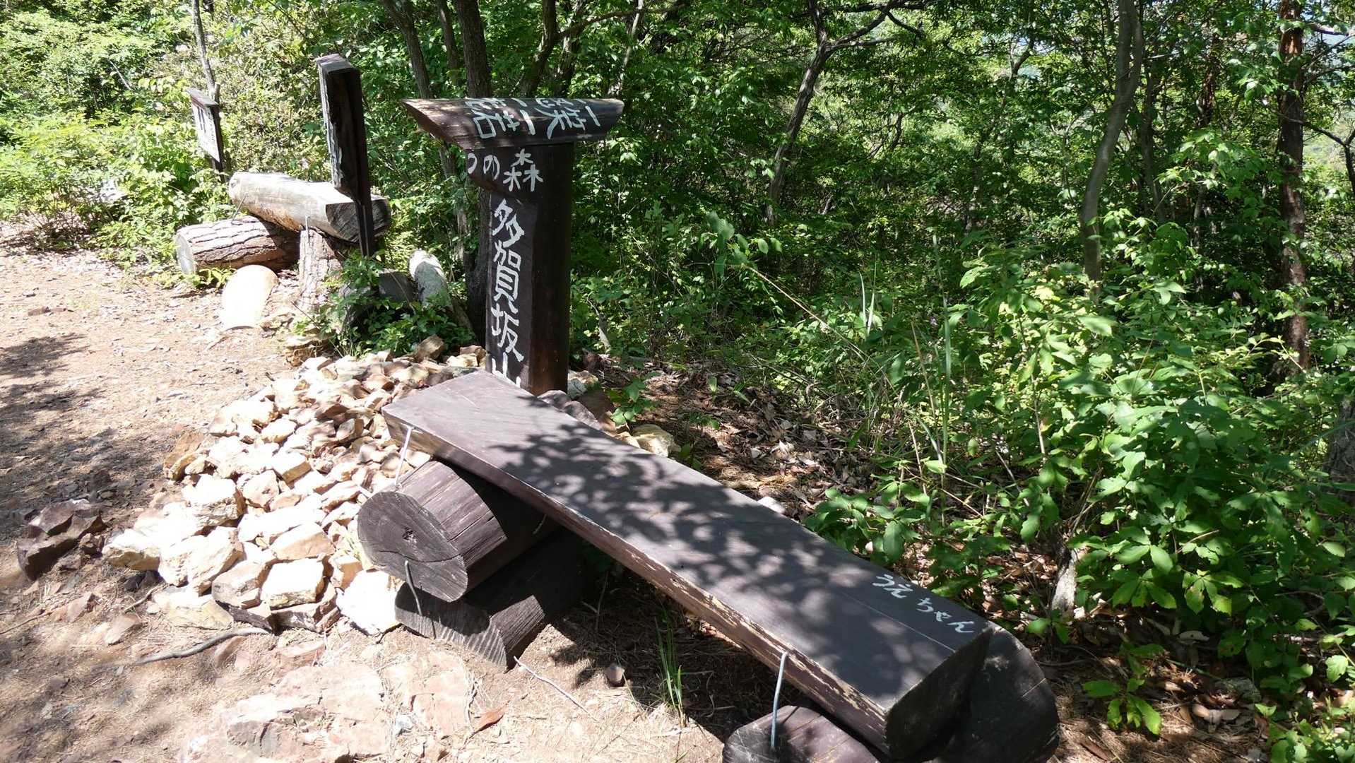 多賀坂峠-迫間山-迫間不動-白竜山寺 周回コースの写真