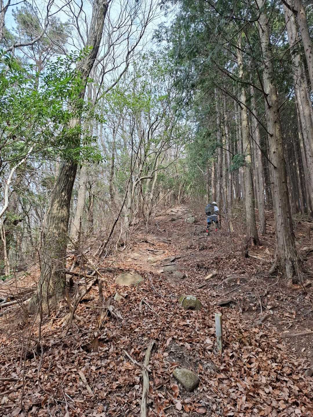 十八神社-額井岳-戒場峠-戒場山-戒長寺 縦走コースの写真