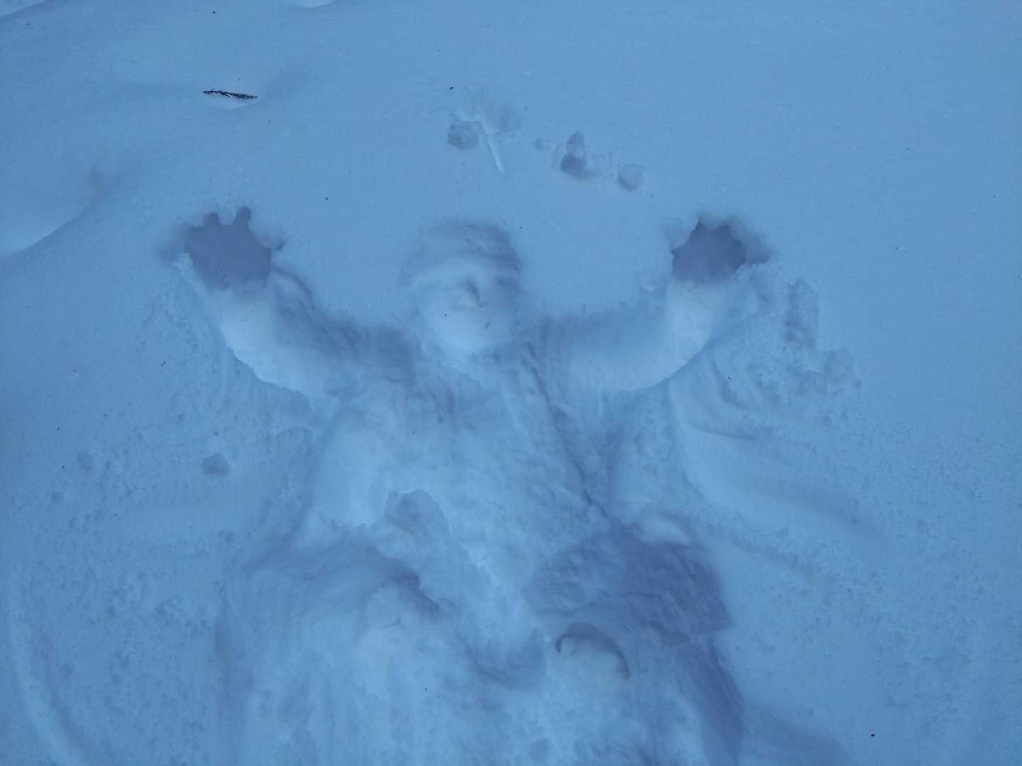 とりあえず倒れてみた