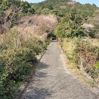 ここは
いきなり核心の急登があって
逆にそこからはユルユルってことよ😆