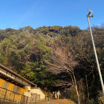 今年最後の白米城、行ってきます😊🎶