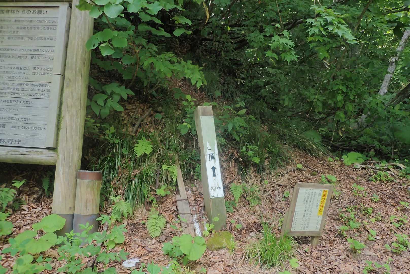 旧道登山口。来た時は気がつかなかった。
旧道の方が道は良かったような気もするけど。