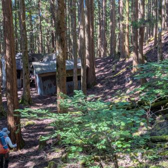 造林小屋