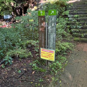 もちろん左⬅️