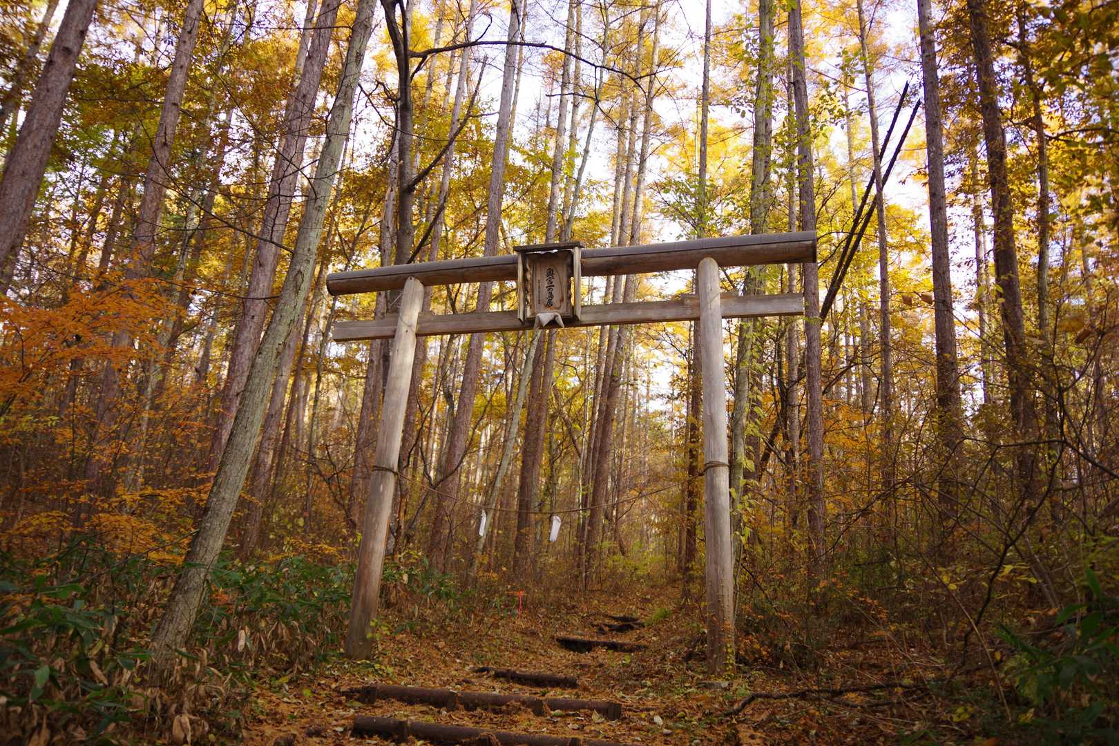 一ノ鳥居登山口-携帯トイレブース-飯縄山 往復コースの写真