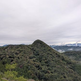 いい景色