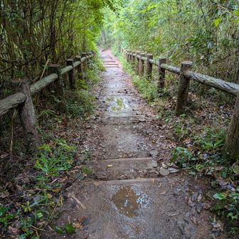 階段を下りて、多峯主山へ向かう。少し水たまりがあった。